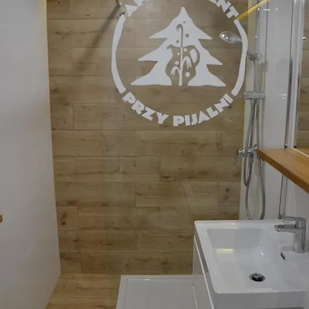 Przy Pijalni Apartment Krynica Zdroj