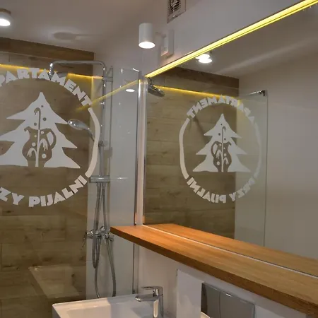 Przy Pijalni Apartment